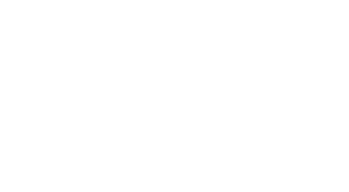 grid line