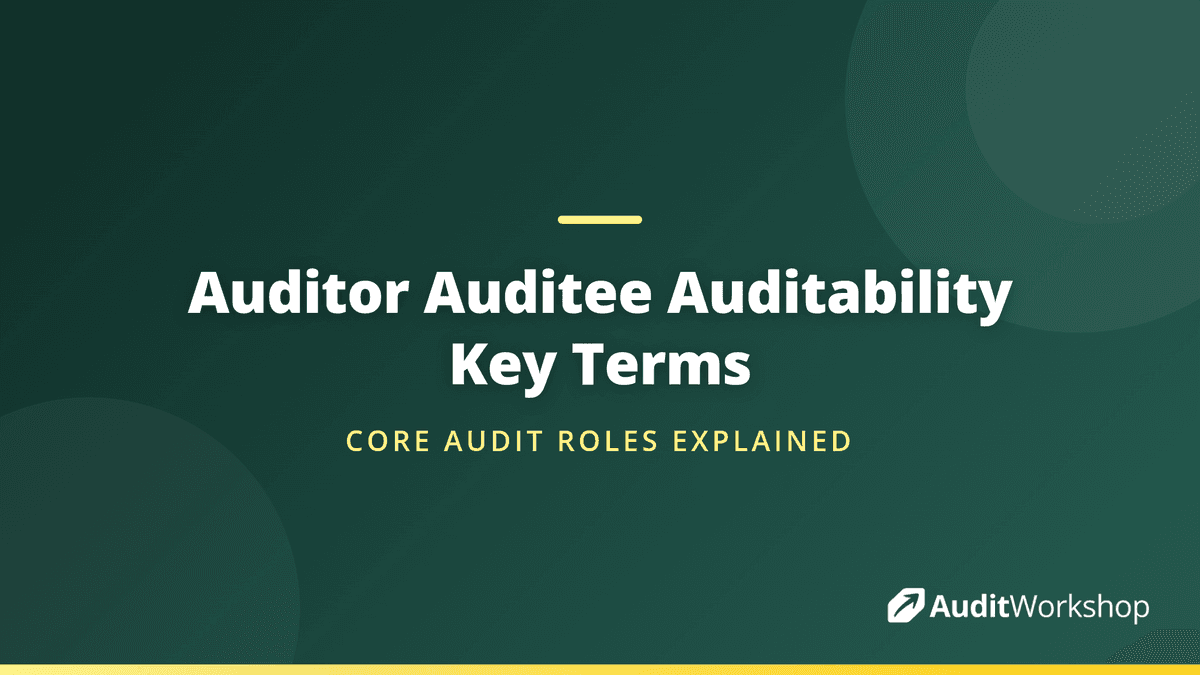 Auditor, Auditee and Auditability: Key Terms Explained | Audit Workshop