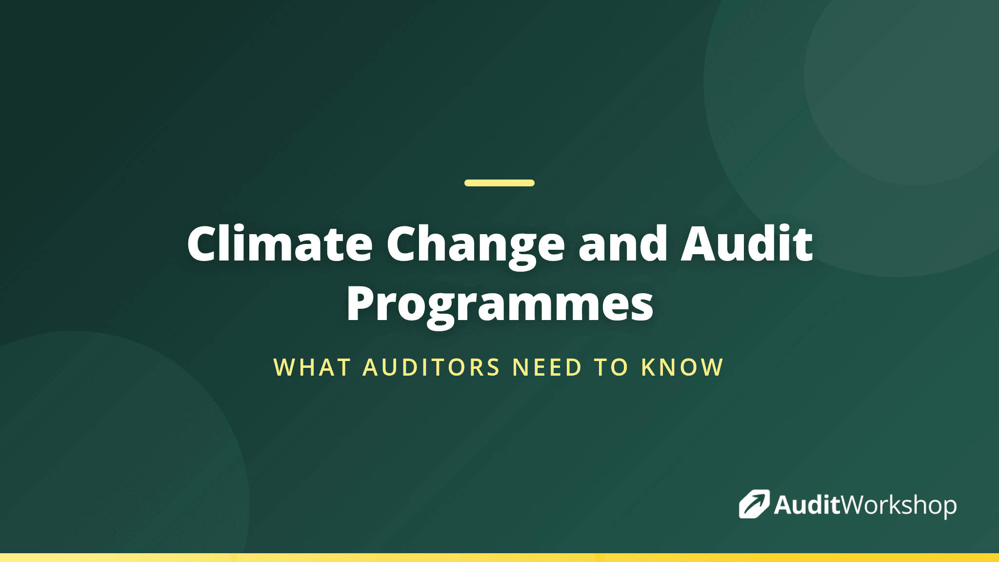 Climate Change and Digital Tools: New Considerations for Audit Programmes