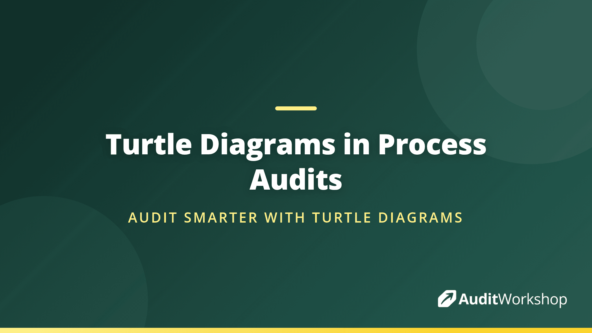 Turtle Diagrams: How to Use Them in Process Audits