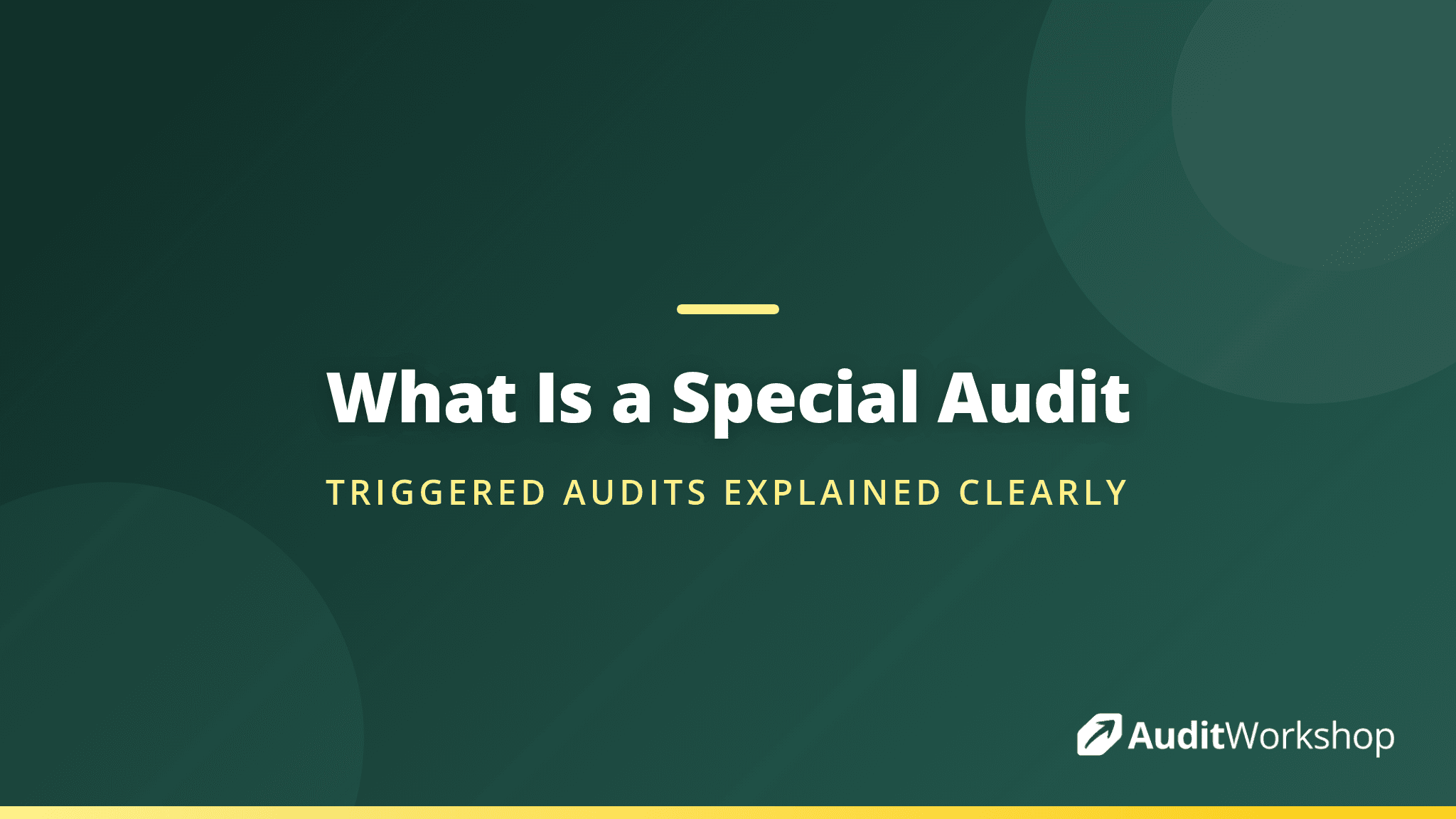 What Is a Special Audit and When Does One Get Triggered?