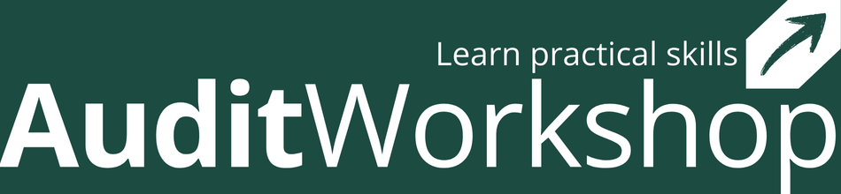 Audit Workshop
